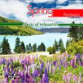 Spring (CD)